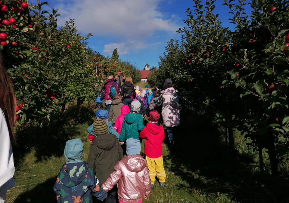 Dzień Jabłka w Jabłoniowym Dworku