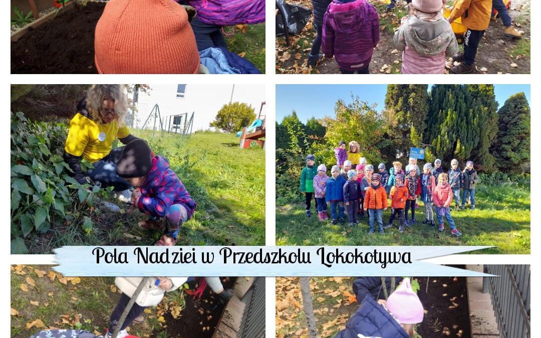 Pola Nadziei w przedszkolu w Gdyni i w Sopocie